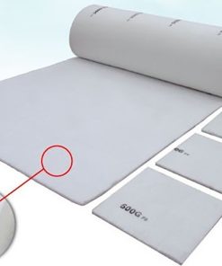 loc tran phong son o to 600g 2