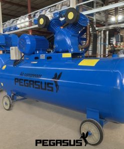 Máy Nén Khí Dây Đai PEGASUS TM-V-0.17/8-180L 4 May Nen Khi Day Dai PEGASUS TM V 0.17.8 180L 6