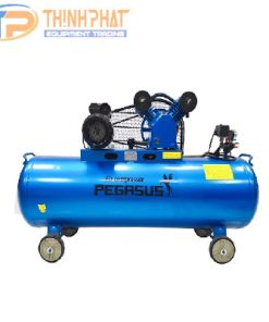 Máy Nén Khí Dây Đai PEGASUS TM-V-0.25/12.5-120L