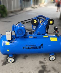 Máy Nén Khí Dây Đai PEGASUS TM-V-0.6/8-230L 3 May Nen Khi Day Dai PEGASUS TM V 0.6.8 230L