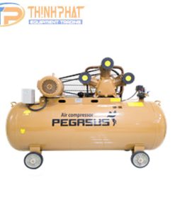 Máy Nén Khí Dây Đai PEGASUS TM-W-1.0/8-500L