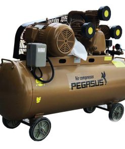 Máy Nén Khí Dây Đai PEGASUS TM-W-1.6/12.5-500L 3 May Nen Khi Day Dai PEGASUS TM W 1.6.12.5 500L